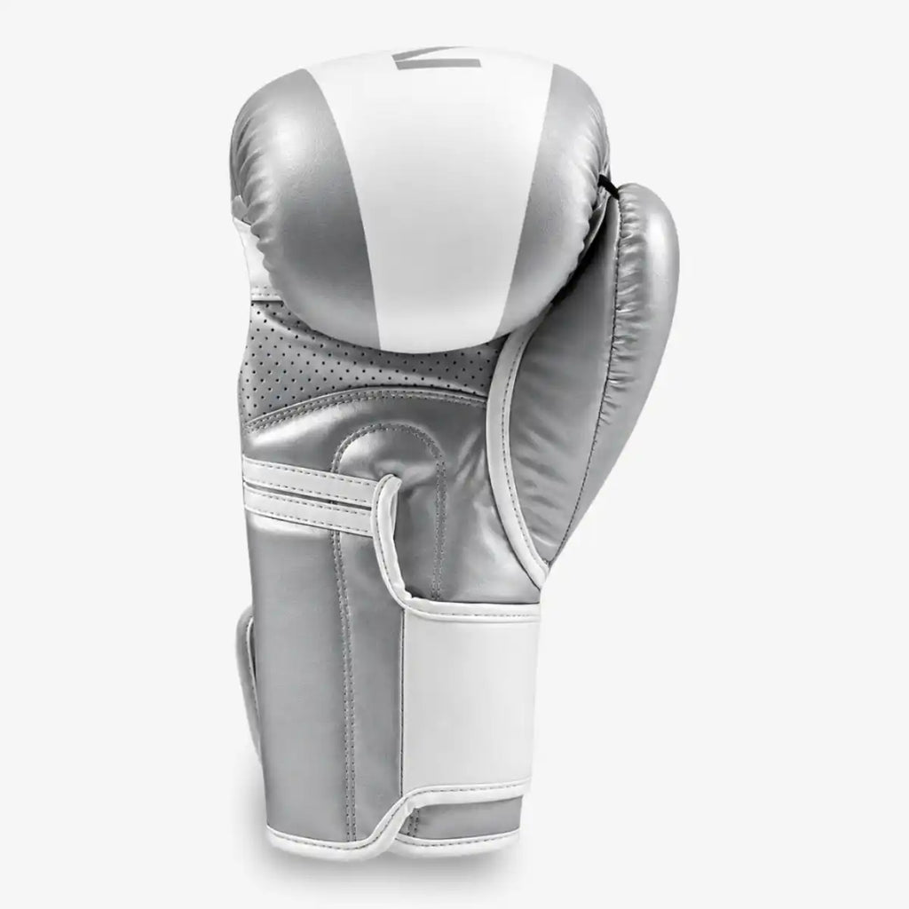 Kit_Luva_de_Boxe_e_Muay_Thai_Pretorian_Strike_Prata