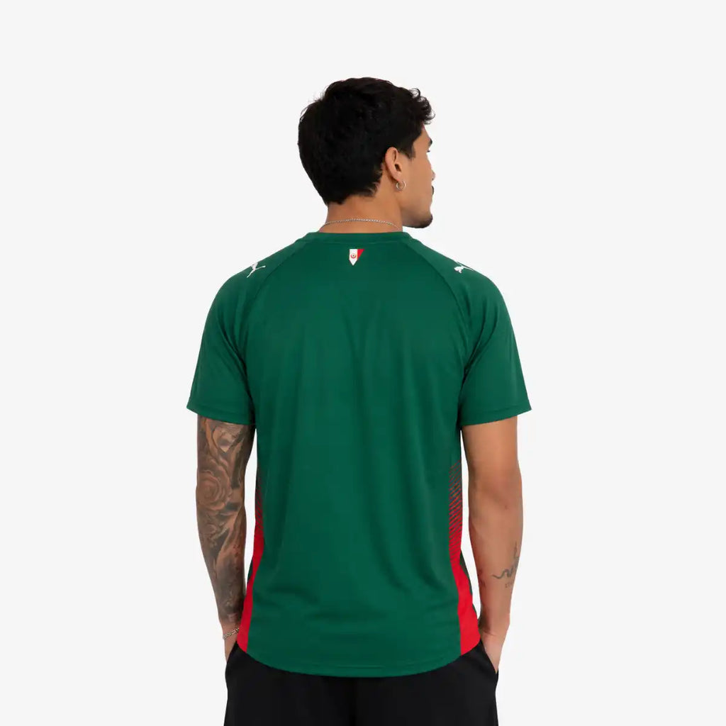 Camiseta_Jogador_Puma_Masculina_Palmeiras_26_Verde
