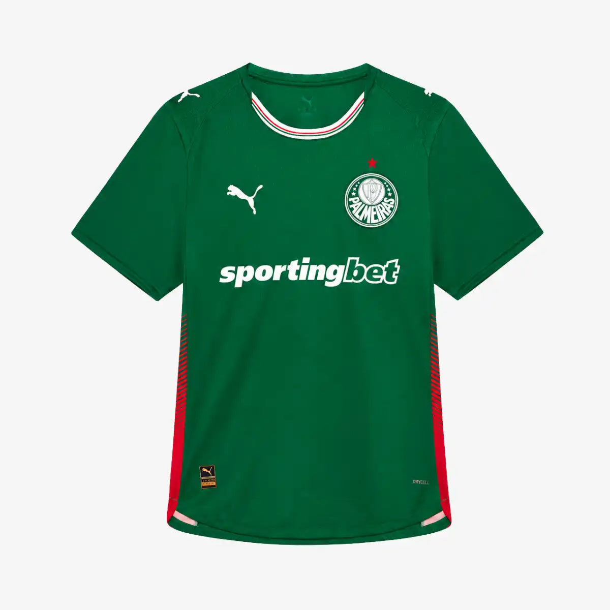 Camiseta_Jogador_Puma_Masculina_Palmeiras_26_Verde