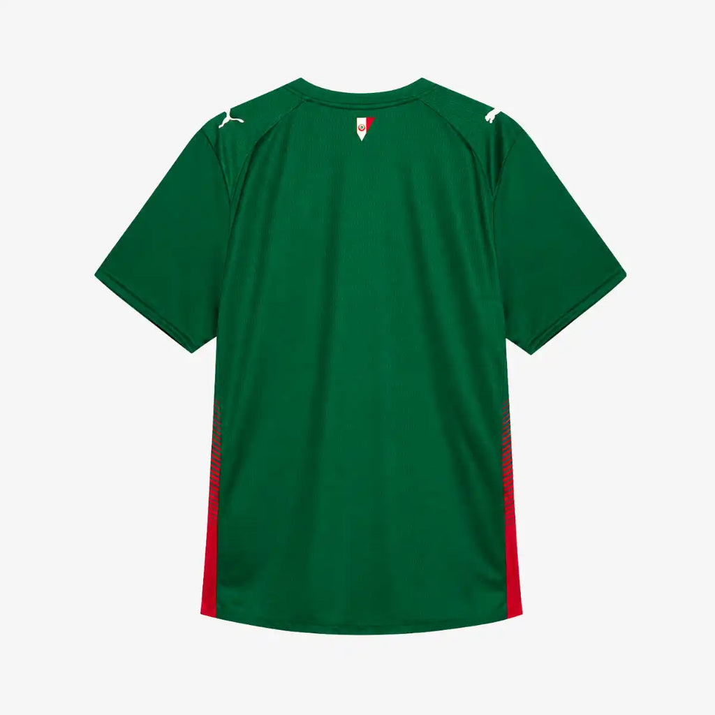 Camiseta_Jogador_Puma_Masculina_Palmeiras_26_Verde