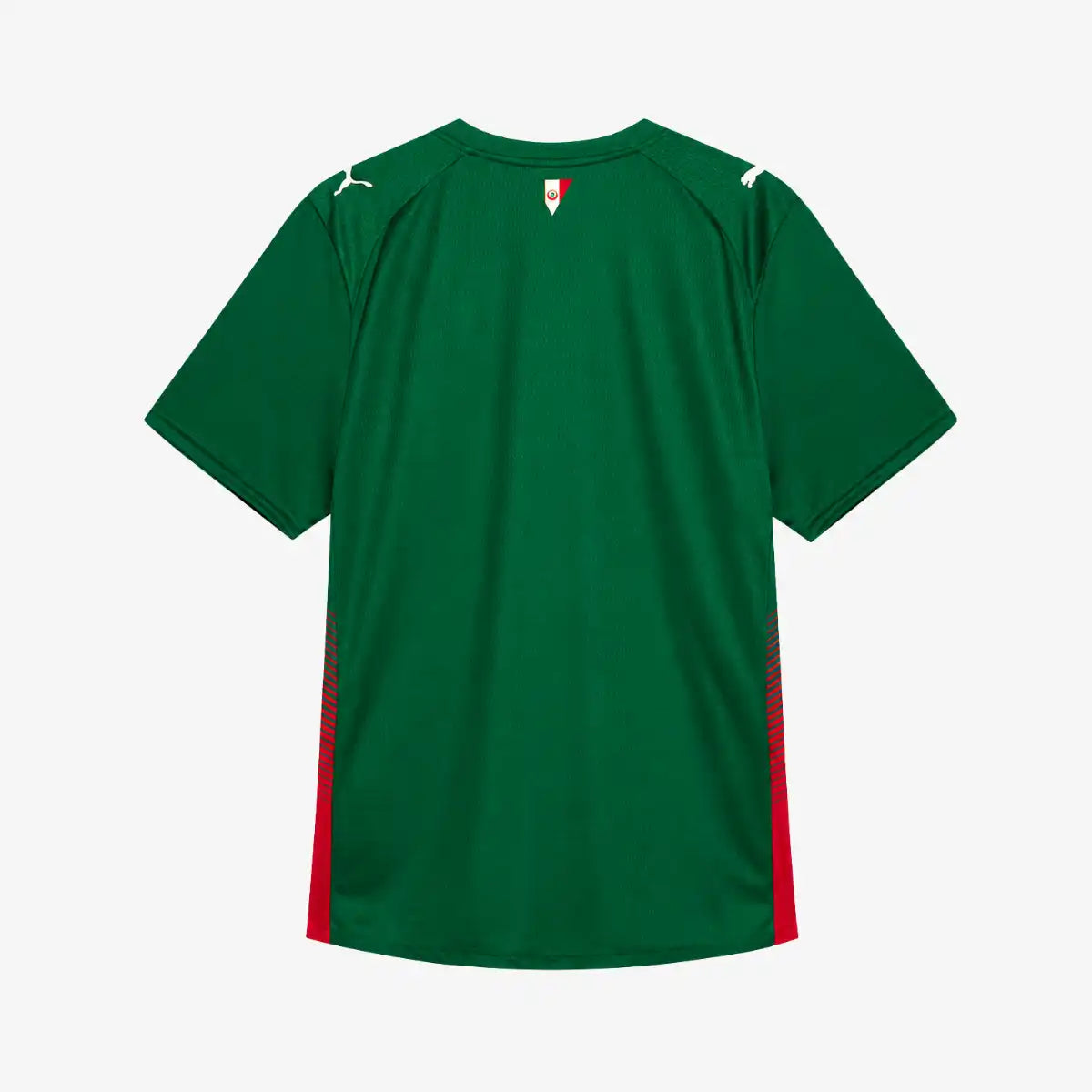 Camiseta_Jogador_Puma_Masculina_Palmeiras_26_Verde