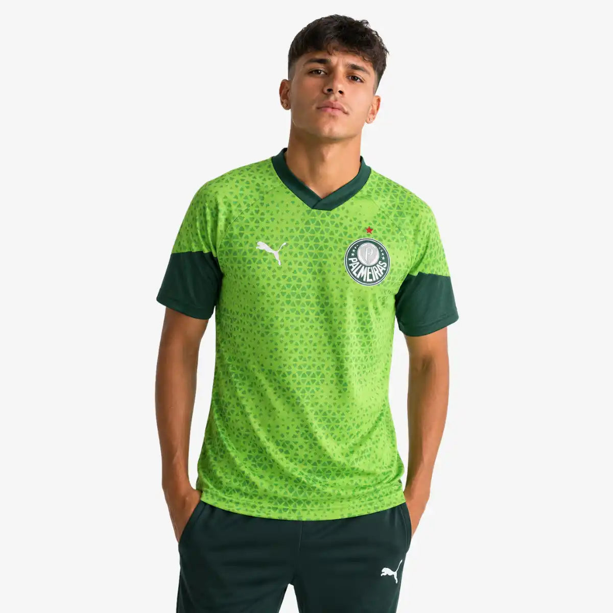 Camiseta_Torcedor_Puma_Palmeiras_24_Verde