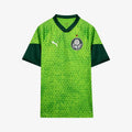 Camiseta_Torcedor_Puma_Palmeiras_24_Verde